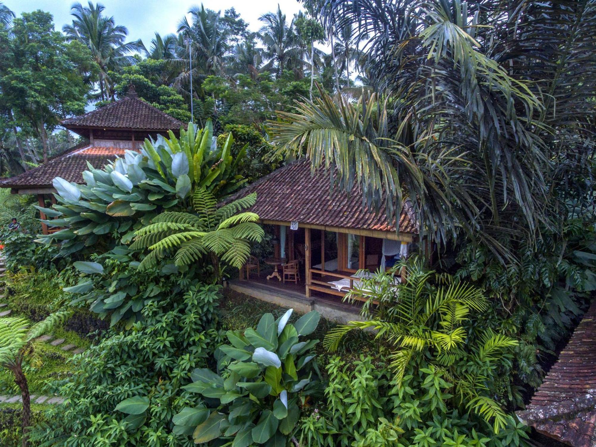 Dewi Tara Haven Bed & Breakfast Payangan Cameră foto