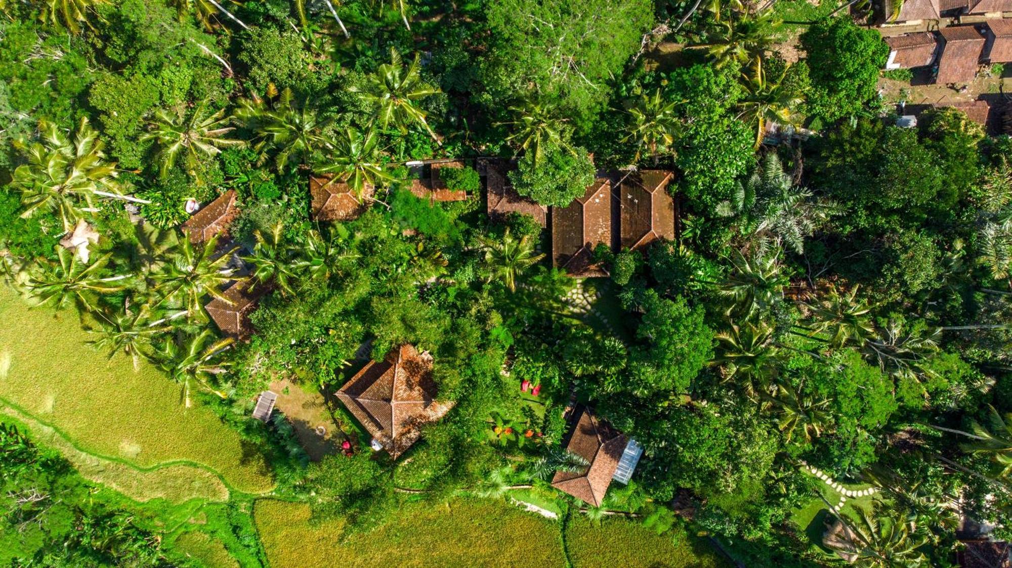 Dewi Tara Haven Bed & Breakfast Payangan Exterior foto