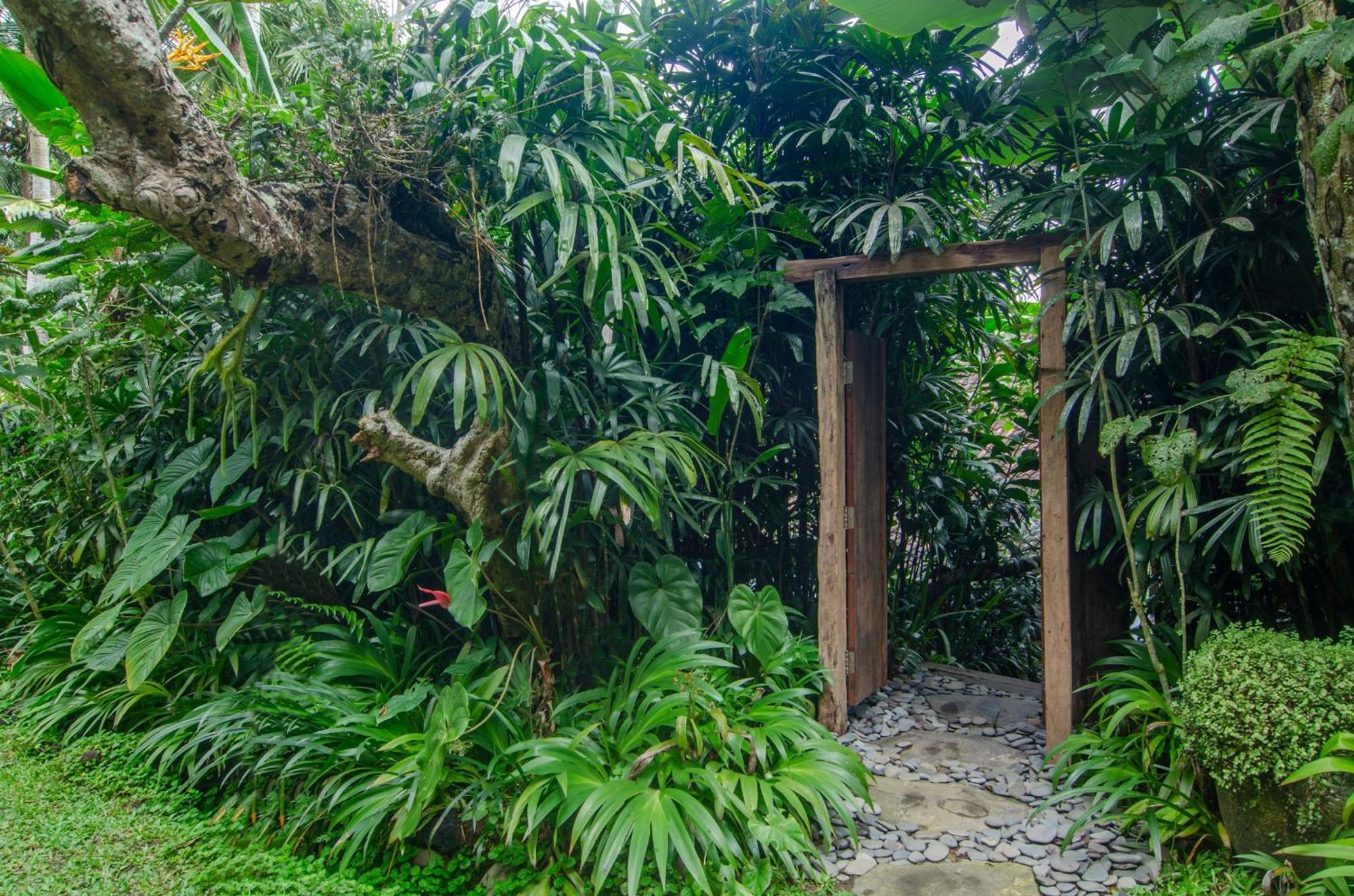 Dewi Tara Haven Bed & Breakfast Payangan Cameră foto