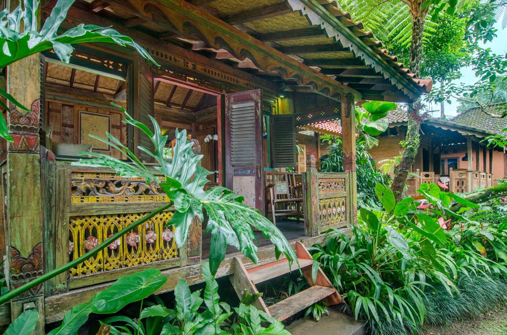 Dewi Tara Haven Bed & Breakfast Payangan Cameră foto