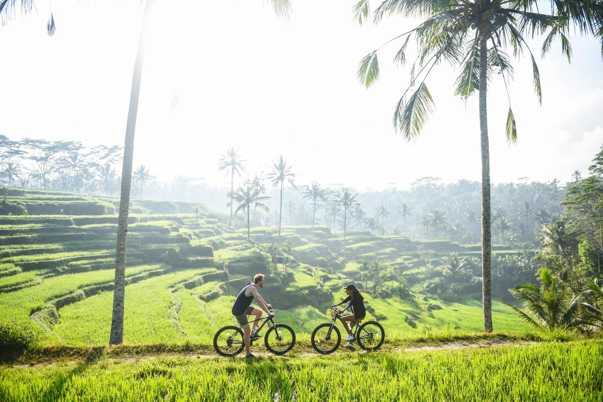 Dewi Tara Haven Bed & Breakfast Payangan Cameră foto