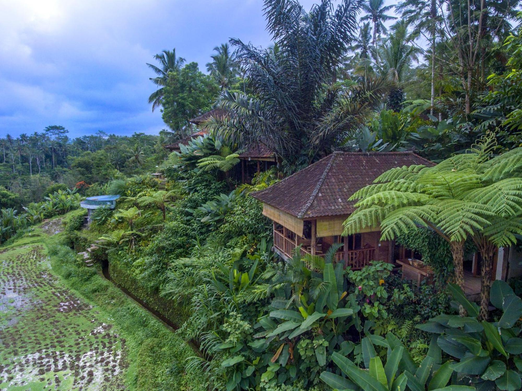 Dewi Tara Haven Bed & Breakfast Payangan Cameră foto