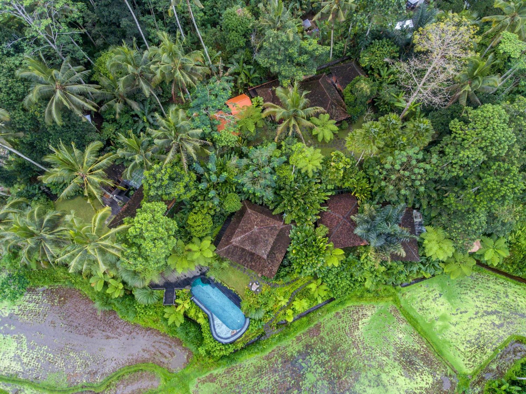 Dewi Tara Haven Bed & Breakfast Payangan Cameră foto