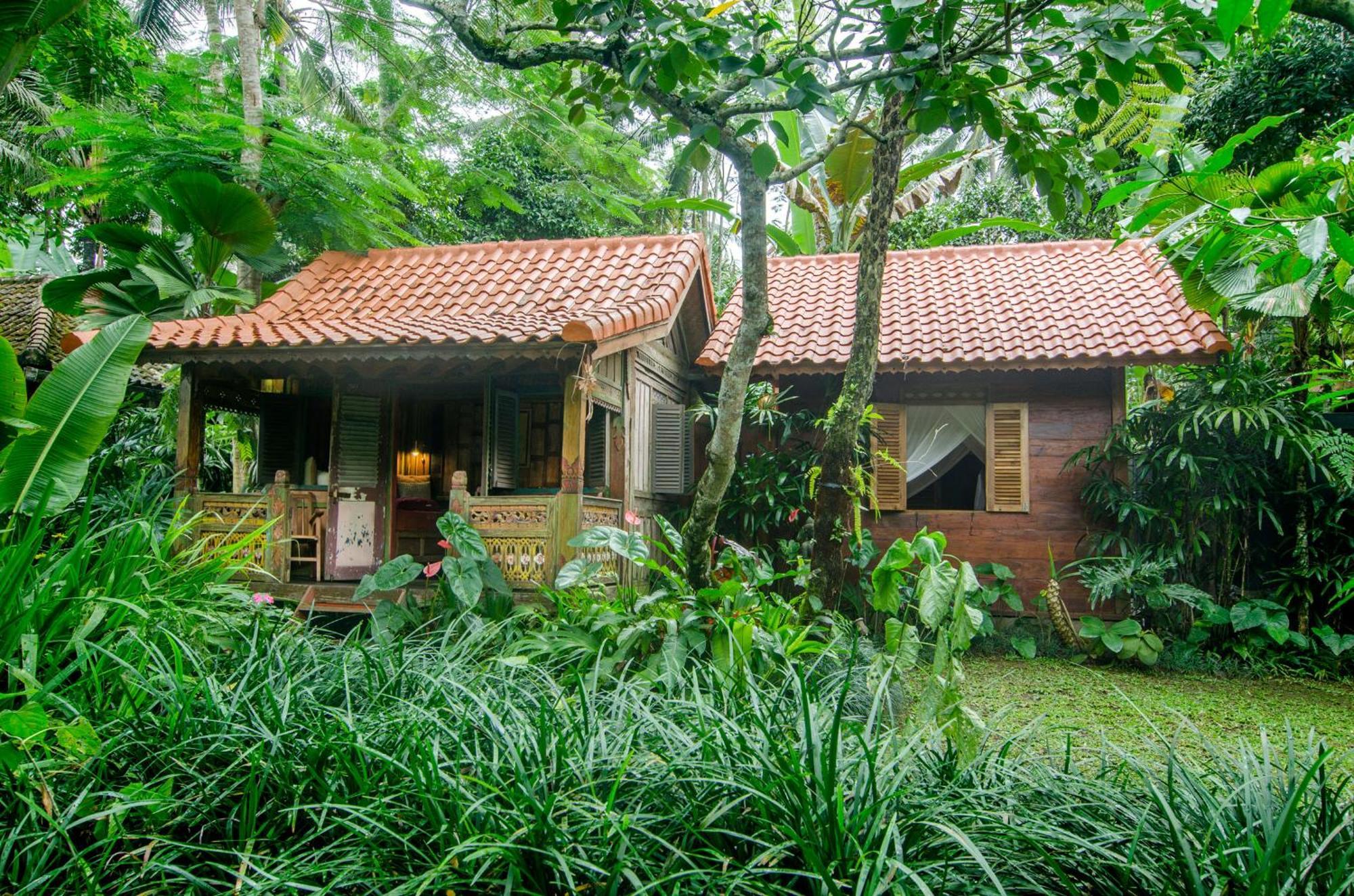 Dewi Tara Haven Bed & Breakfast Payangan Cameră foto
